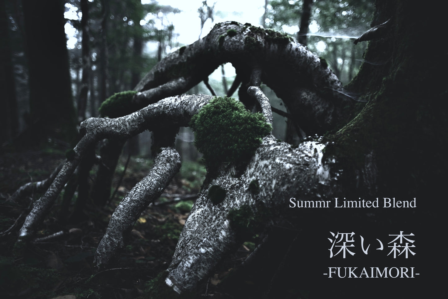 【夏限定商品】 ８/３１までの期間限定 『深い森 -FUKAIMORI-』  500g